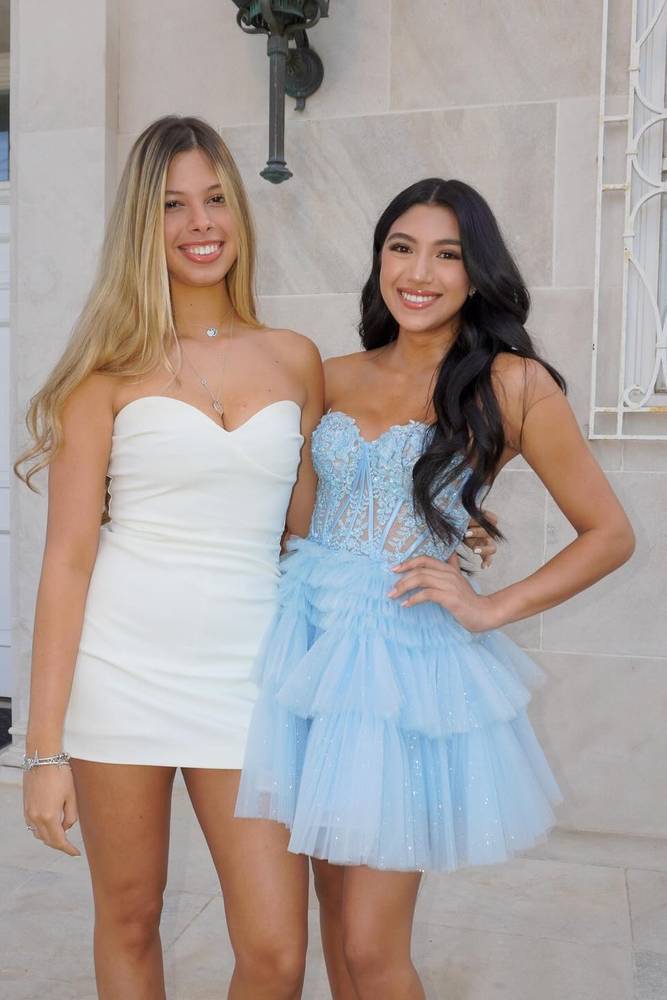 Light Blue Sweetheart A-Line Tulle Homecoming Dresses with Appliques