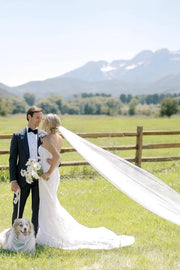 Stylish Strapless Mermaid Tulle Wedding Dresses with Appliques