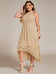Vintage A-Line Plus Size Chiffon Wedding Guest Dress