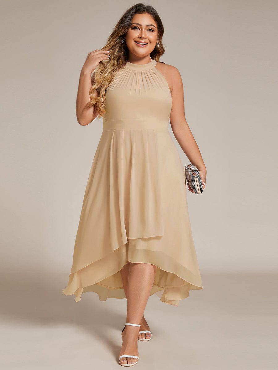 Vintage A-Line Plus Size Chiffon Wedding Guest Dress