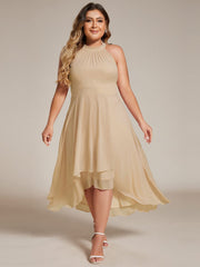 Vintage A-Line Plus Size Chiffon Wedding Guest Dress