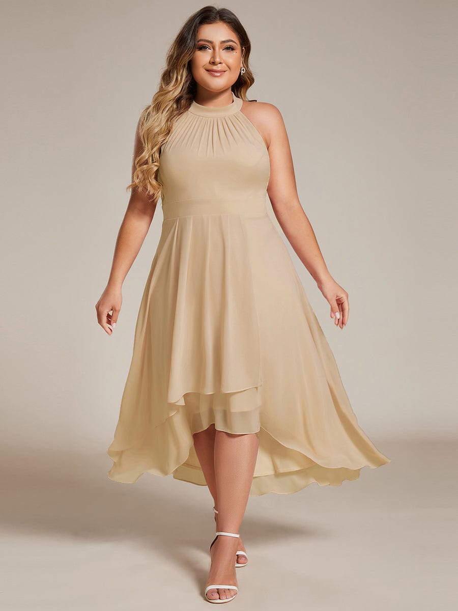 Vintage A-Line Plus Size Chiffon Wedding Guest Dress