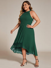 Vintage A-Line Plus Size Chiffon Wedding Guest Dress