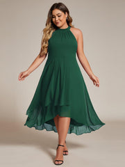 Vintage A-Line Plus Size Chiffon Wedding Guest Dress