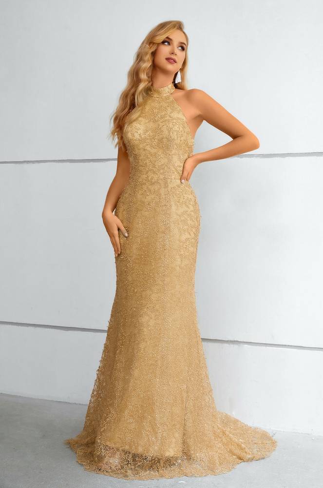 Halter Mermaid Sleeveless Lace Long Prom Dresses